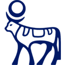 Novo Nordisk